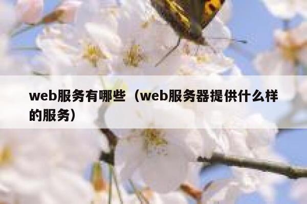web服务有哪些（web服务器提供什么样的服务） 第1张