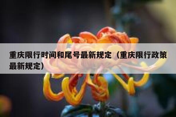 重庆限行时间和尾号最新规定（重庆限行政策最新规定） 第1张