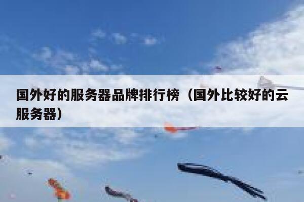 国外好的服务器品牌排行榜（国外比较好的云服务器） 第1张