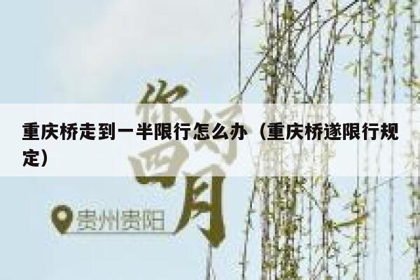 重庆桥走到一半限行怎么办(重庆桥遂限行规定) 第1张 重庆桥走到一半限行怎么办(重庆桥遂限行规定) 第1张