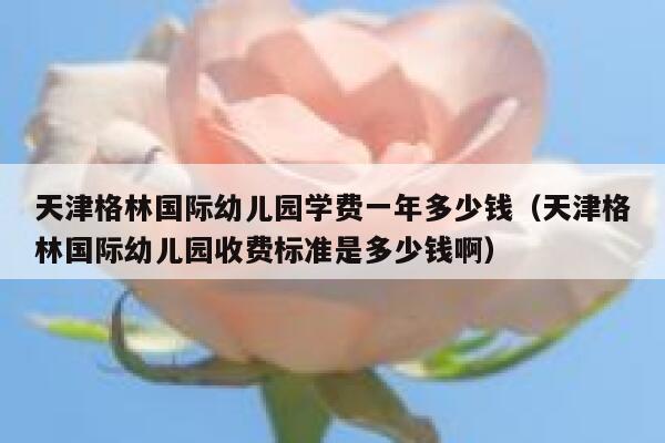 天津格林国际幼儿园学费一年多少钱（天津格林国际幼儿园收费标准是多少钱啊） 第1张