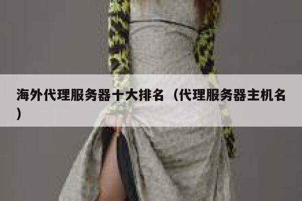 海外代理服务器十大排名(代理服务器主机名) 第1张 海外代理服务器十大排名(代理服务器主机名) 第1张