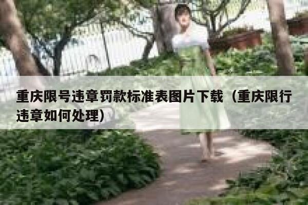 重庆限号违章罚款标准表图片下载(重庆限行违章如何处理) 第1张 重庆限号违章罚款标准表图片下载(重庆限行违章如何处理) 第1张