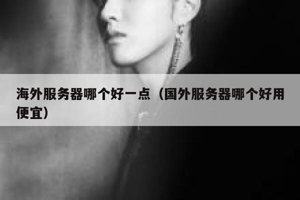 海外服务器哪个好一点（国外服务器哪个好用便宜） 第1张