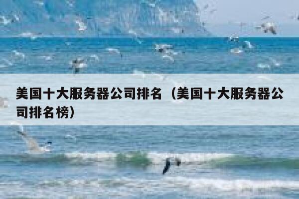 美国十大服务器公司排名(美国十大服务器公司排名榜) 第1张 美国十大服务器公司排名(美国十大服务器公司排名榜) 第1张