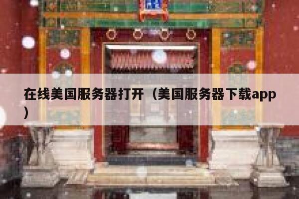 在线美国服务器打开(美国服务器下载app) 第1张 在线美国服务器打开(美国服务器下载app) 第1张