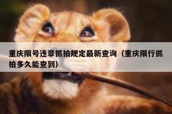 重庆限号违章抓拍规定最新查询（重庆限行抓拍多久能查到） 第1张