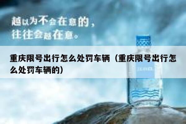 重庆限号出行怎么处罚车辆(重庆限号出行怎么处罚车辆的) 第1张 重庆限号出行怎么处罚车辆(重庆限号出行怎么处罚车辆的) 第1张