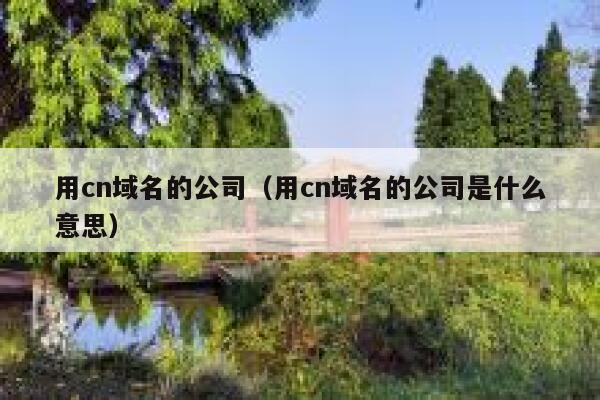 用cn域名的公司（用cn域名的公司是什么意思） 第1张