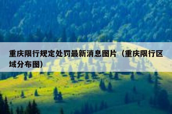 重庆限行规定处罚最新消息图片（重庆限行区域分布图） 第1张