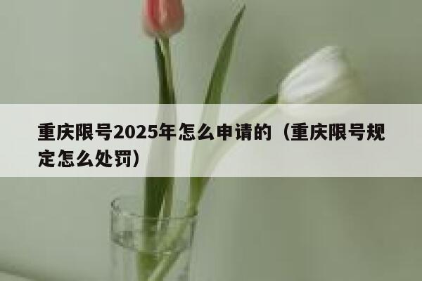 重庆限号2025年怎么申请的（重庆限号规定怎么处罚） 第1张
