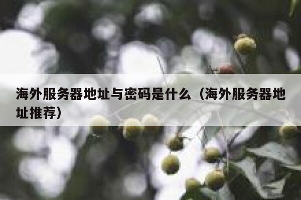 海外服务器地址与密码是什么（海外服务器地址推荐） 第1张