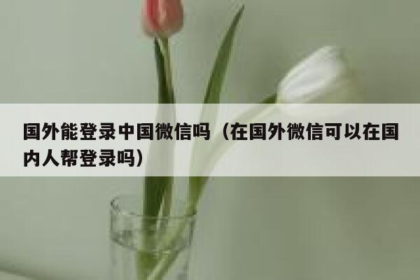 国外能登录中国微信吗(在国外微信可以在国内人帮登录吗) 第1张 国外能登录中国微信吗(在国外微信可以在国内人帮登录吗) 第1张