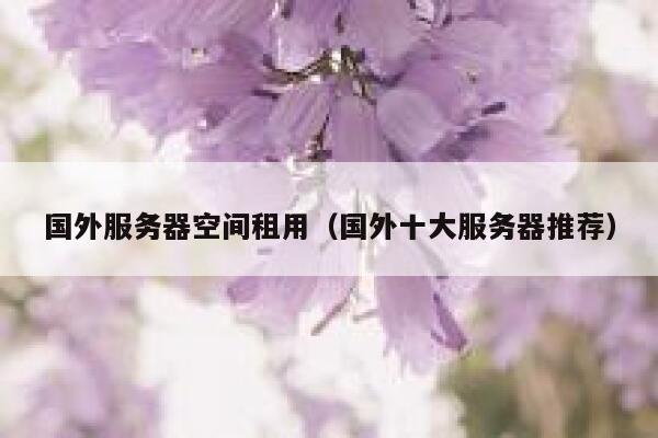 国外服务器空间租用（国外十大服务器推荐） 第1张