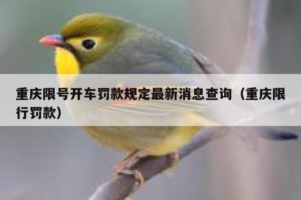 重庆限号开车罚款规定最新消息查询（重庆限行罚款） 第1张
