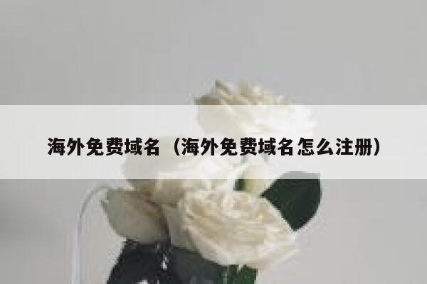 海外免费域名(海外免费域名怎么注册) 第1张 海外免费域名(海外免费域名怎么注册) 第1张