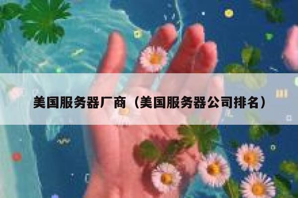 美国服务器厂商(美国服务器公司排名) 第1张 美国服务器厂商(美国服务器公司排名) 第1张
