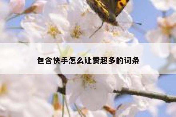 包含快手怎么让赞超多的词条 第1张