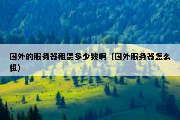 国外的服务器租赁多少钱啊（国外服务器怎么租） 第1张
