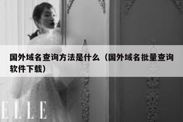 国外域名查询方法是什么（国外域名批量查询软件下载） 第1张