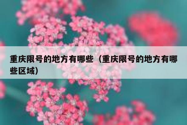 重庆限号的地方有哪些（重庆限号的地方有哪些区域） 第1张