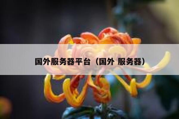 国外服务器平台(国外 服务器) 第1张 国外服务器平台(国外 服务器) 第1张