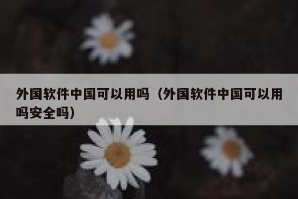 外国软件中国可以用吗（外国软件中国可以用吗安全吗） 第1张