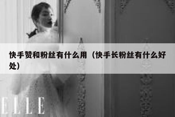 快手赞和粉丝有什么用(快手长粉丝有什么好处) 第1张 快手赞和粉丝有什么用(快手长粉丝有什么好处) 第1张