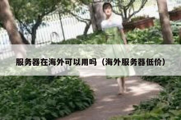服务器在海外可以用吗(海外服务器低价) 第1张 服务器在海外可以用吗(海外服务器低价) 第1张