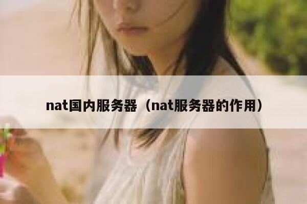nat国内服务器(nat服务器的作用) 第1张 nat国内服务器(nat服务器的作用) 第1张