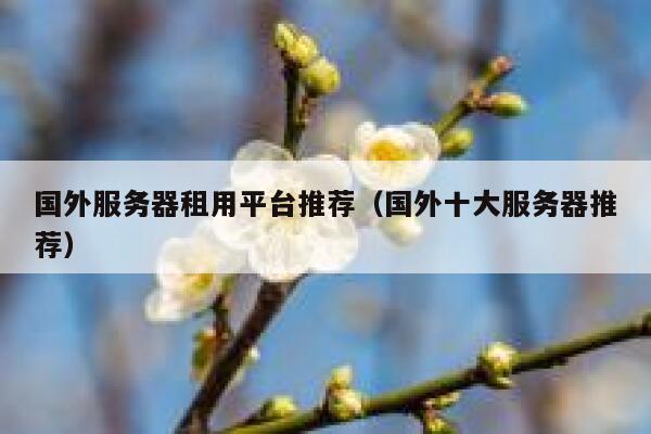 国外服务器租用平台推荐(国外十大服务器推荐) 第1张 国外服务器租用平台推荐(国外十大服务器推荐) 第1张