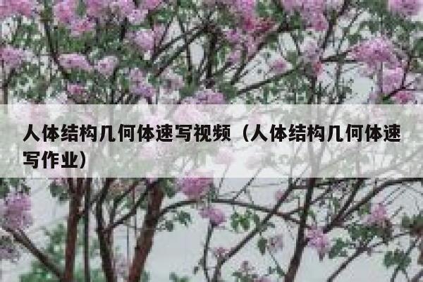 人体结构几何体速写视频（人体结构几何体速写作业） 第1张