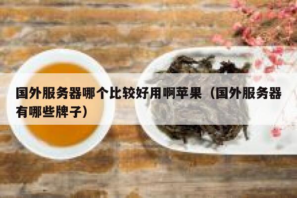 国外服务器哪个比较好用啊苹果（国外服务器有哪些牌子） 第1张