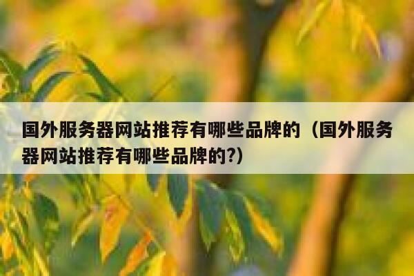 国外服务器网站推荐有哪些品牌的（国外服务器网站推荐有哪些品牌的?） 第1张