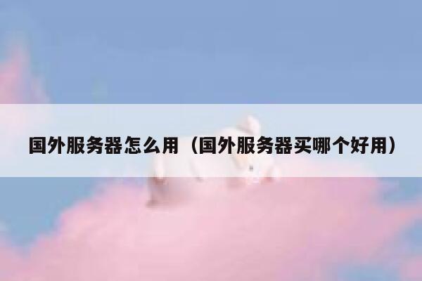 国外服务器怎么用（国外服务器买哪个好用） 第1张