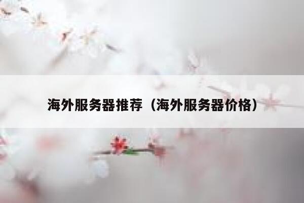 海外服务器推荐（海外服务器价格） 第1张