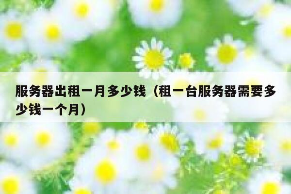 服务器出租一月多少钱（租一台服务器需要多少钱一个月） 第1张