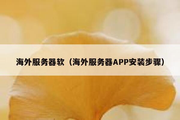 海外服务器软（海外服务器APP安装步骤） 第1张