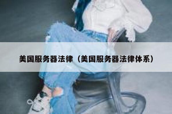 美国服务器法律（美国服务器法律体系） 第1张