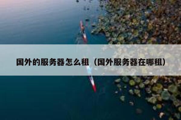 国外的服务器怎么租（国外服务器在哪租） 第1张
