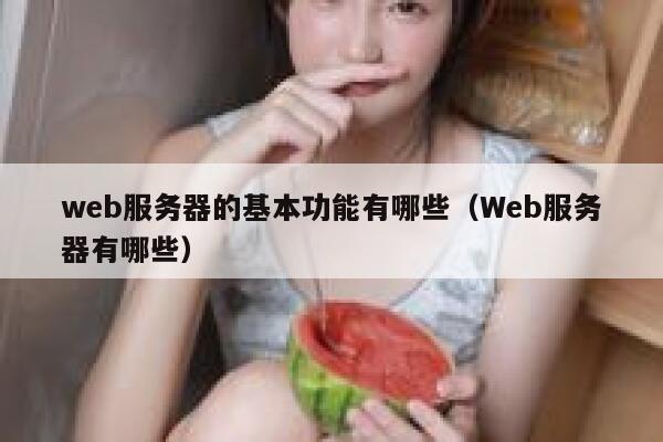 web服务器的基本功能有哪些（Web服务器有哪些） 第1张