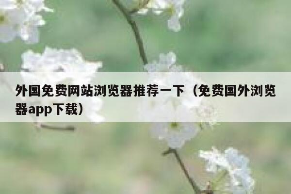 外国免费网站浏览器推荐一下（免费国外浏览器app下载） 第1张