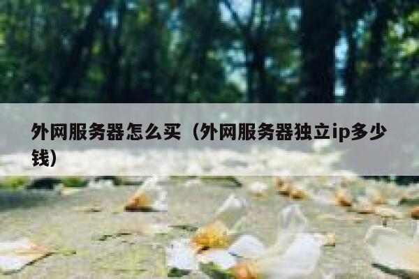 外网服务器怎么买（外网服务器独立ip多少钱） 第1张