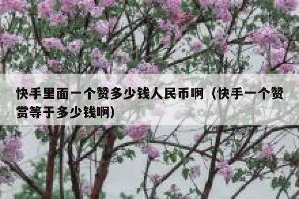 快手里面一个赞多少钱人民币啊(快手一个赞赏等于多少钱啊) 第1张 快手里面一个赞多少钱人民币啊(快手一个赞赏等于多少钱啊) 第1张