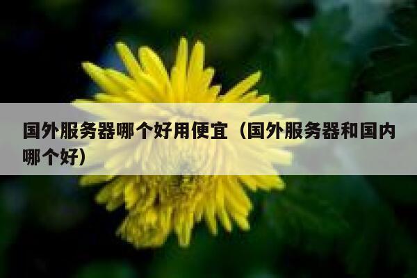 国外服务器哪个好用便宜(国外服务器和国内哪个好) 第1张 国外服务器哪个好用便宜(国外服务器和国内哪个好) 第1张