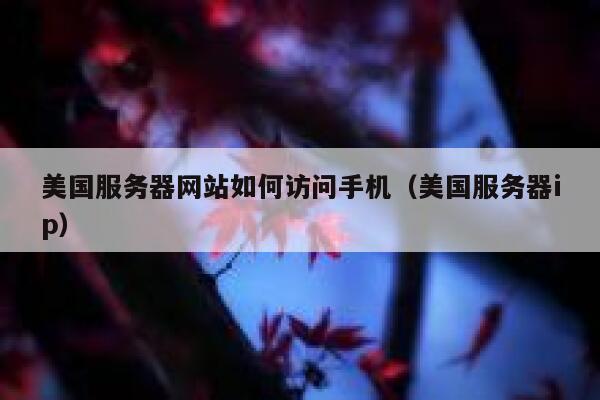 美国服务器网站如何访问手机(美国服务器ip) 第1张 美国服务器网站如何访问手机(美国服务器ip) 第1张