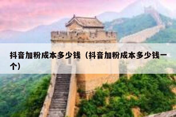 抖音加粉成本多少钱（抖音加粉成本多少钱一个） 第1张