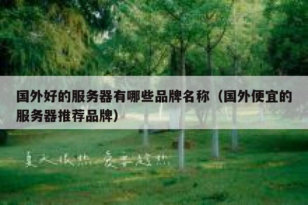 国外好的服务器有哪些品牌名称（国外便宜的服务器推荐品牌） 第1张