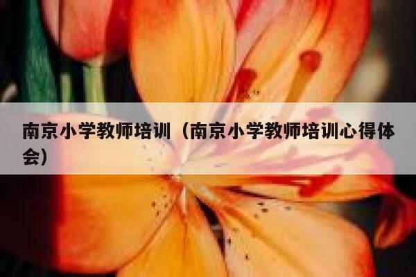 南京小学教师培训（南京小学教师培训心得体会） 第1张