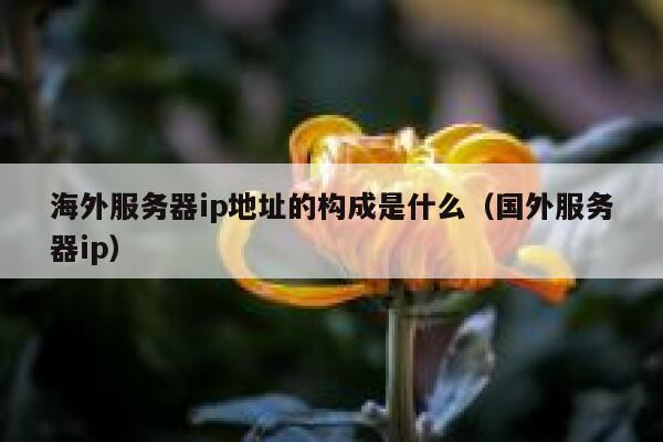 海外服务器ip地址的构成是什么（国外服务器ip） 第1张